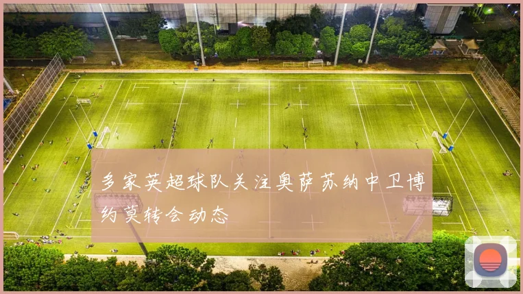 多家英超球队关注奥萨苏纳中卫博约莫转会动态